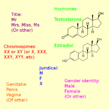 Sex: title, hormones, chromosomes, juridical, genitalia, gender identity.